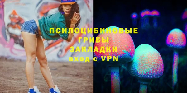 соль ск Нефтекумск