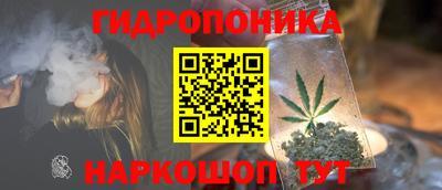 бошки Заволжье